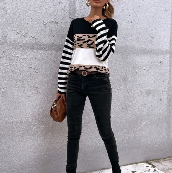 Striped Color Block Leopard Sweater - Picture 5 of 7